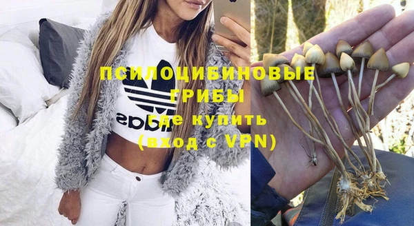 mix Ельня