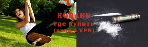 сатива Заводоуковск