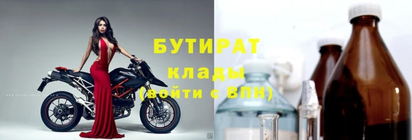 сатива Заводоуковск