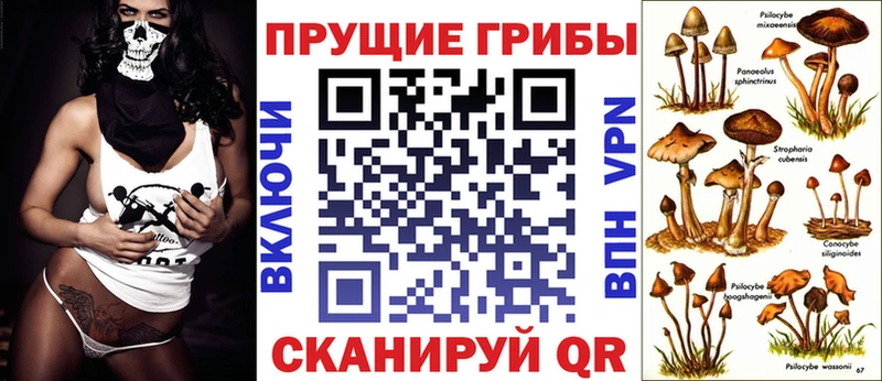 Галлюциногенные грибы Cubensis  гидра ТОР  Прокопьевск 