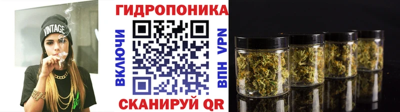 Каннабис гибрид хочу Прокопьевск